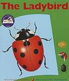 The ladybird