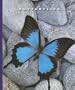 Butterflies (World of Insects)
