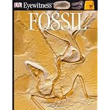 DK Eyewitness Books: Fossil