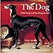 Dog: 5000 years of the Dog in Art