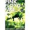 Pink Floyd FAQ (Paperback)