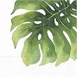 Design Design Oasis Flower Leaf Beverage Napkin, 20-Count Packages (Pack of 6)