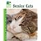 Stories of Feline Affections