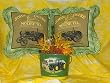 Antique John Deere 16" Throw Pillow Set