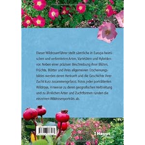 Wildrosen: 500 Arten, Varietäten und Hybriden der ganzen Welt