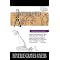 Historical Fiction About Venice
