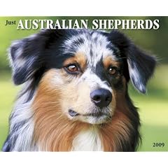 Just Australian Shepherds 2009 Calendar