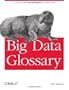 Big Data Glossary