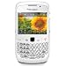 BlackBerry Curve 8520 Smartphone (QWERTZ, Bluetooth, 2MP Kamera, Push-Service) wei�