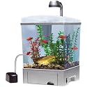WaterWonders Aquarium Kit - 1 1/2 gallon Cube - 13 in. x 7 12 in. x 8 14 in.