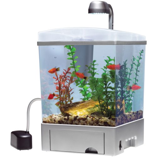 WaterWonders Aquarium Kit – 1 1/2 gallon Cube – 13 in. x 7 12 in. x 8 14 in.