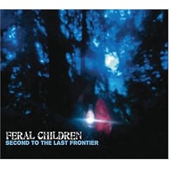 Second to the Last Frontier