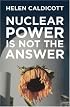 Nuclear Power Is Not the Answer
