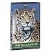 BBC Atlas of the Natural World - Spirits of the Jaguar