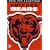 NFL Chicago Bears Nfc Champions