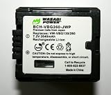 Wasabi Power® Replacement Battery for Panasonic VW-VBG260