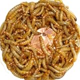 5000ct Live Mini Mealworms, Live Pet Food for Reptile, Birds, Fish (Free Shipping)