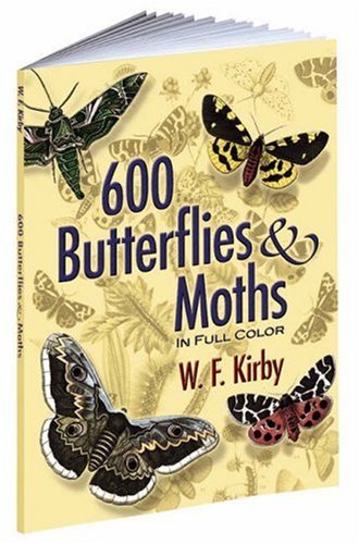 Insects