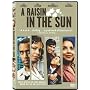 A Raisin In The Sun [DVD] [2008]