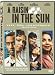 A Raisin In The Sun [UK Import]