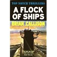A Flock Of Ships by Brian Callison
