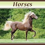 Horses 2011 Mini Calendar