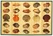Laser Printed Split Bamboo Sea Shells 2' x 3' Veranda Rug