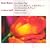 Les Nuits d'ete/Sheherazade (von Stade)