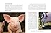 The Inner World of Farm Animals: Their Amazing Social, Emotional, and Intellectual Capacities