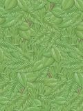 (Price/CT)Border Tropical Foliage 48X12 4/Rls Per Carton