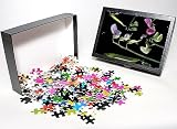 Photo Jigsaw Puzzle of LA-103 SWEET PEA - flowers and seed development from Ardea Wildlife Pets