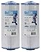 Unicel 5CH-502-2 Replacement Filter Cartridge (2 Pack)