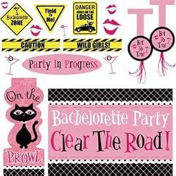 Bachelorette Party Car Decorating Kit 18pc