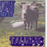  - Taurus