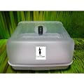 Partybutler Plus mit Einlage von Conny Clever�