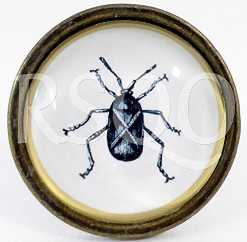 Ceramic Animal Door Knobs Drawer Pulls Cupboard Door Knobs Glass Handles (Glass Beetle) by RSQO