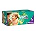 Pampers Baby Dry Diapers, Giant Pack, Size 6, 100 Count