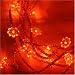 Fairy Lights - Beautiful Amber LED Sunflower Lights 40 Bulb Indoor
