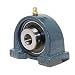 FYH UCPA201-8 Pillow Block Mounted Bearing, 2 Bolt, 1/2" Inside Diameter, Set screw Lock, Cast Iron, Inch