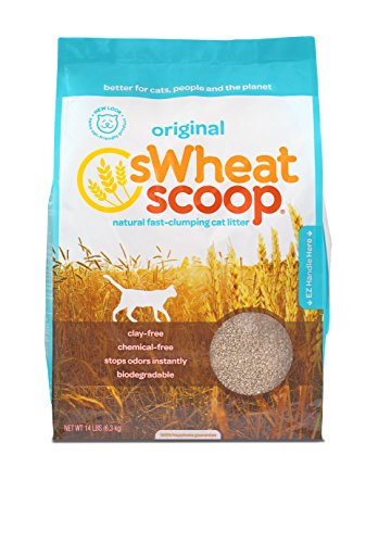 sWheat Scoop Fast-Clumping All-Natural Cat Litter, 14lb Bag
