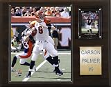 NFL Carson Palmer Cincinnati Bengals Player Plaque