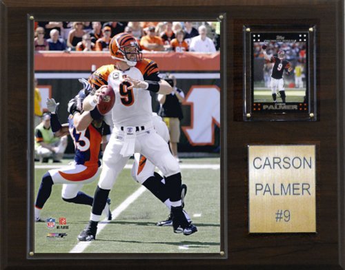 NFL Carson Palmer Cincinnati Bengals Player Plaque