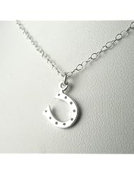 Tiny Horse Shoe Sterling Silver Charm Necklace Lucky Good Luck Jewelry