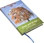 Dear Grandad, from you to me (Journal of a Lifetime) (Journals of a Lifetime)