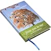 Dear Grandad, from you to me (Journal of a Lifetime) (Journals of a Lifetime)
