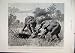 1893 Female Elephants Rescuing Youngster Pitfall Print