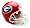 Georgia Bulldogs