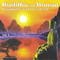 Buddha and Bonsai 1