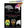 The Orbitofrontal Cortex
