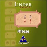 Linder Biologie: Mitose
